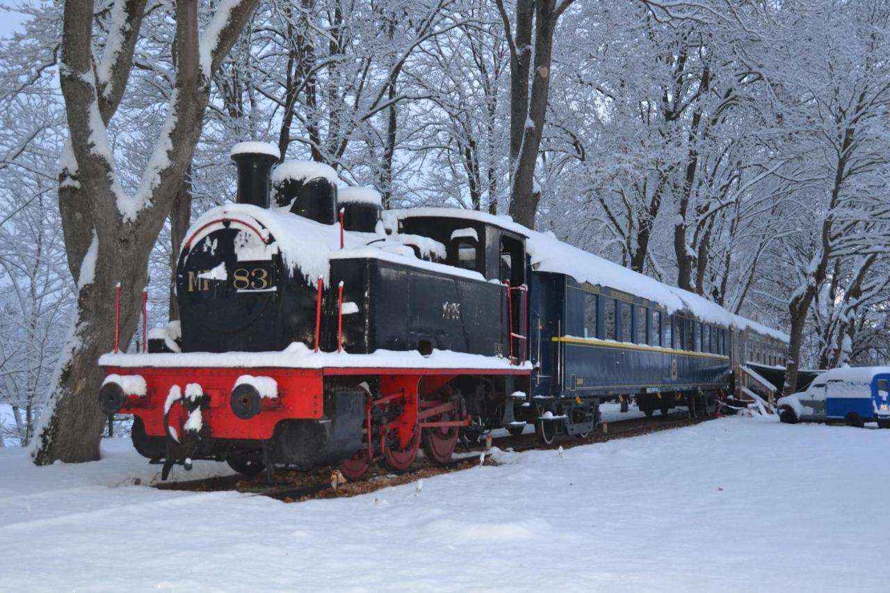 Le Train Des Reves Hotel Dracy-Saint-Loup Exterior foto